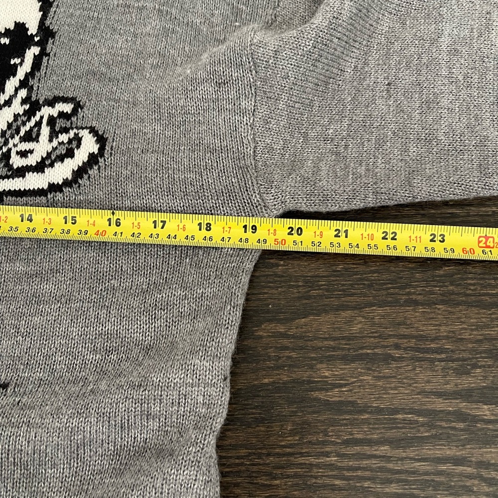 H&M Gray Snoopy Peanuts Knit Sweater - Picture 11 of 13